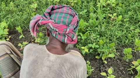 Top Angle Close Up Of Farmer Sweating In Wet Shirt Working In Sunny Farm Field Vidéo 341782523