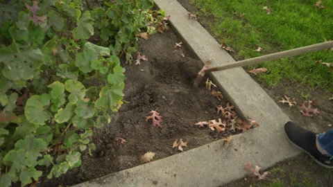 Top Angle of Hula Hoe Weeding Dirt Around Bushes Stock Footage 317400333