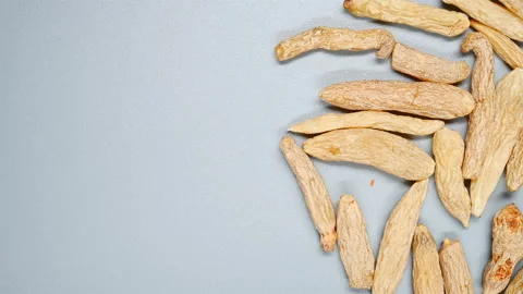 Top angle pan view herb MaiDong or Ophiopogonis Radix or Dwarf Lilyturf Root Stock Footage 145744199