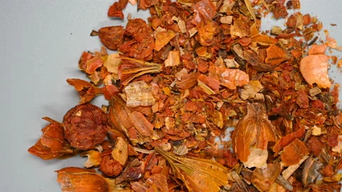 Top angle pan view herb ZhiZi or Gardeniae Fructus or Common Gardenia Fruit Stock Footage 145744393