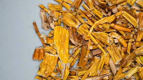 Top angle pan view herb ShiHu or Dendrobii Caulis or Noble Dendrobium Stem He Stock Footage 145745701