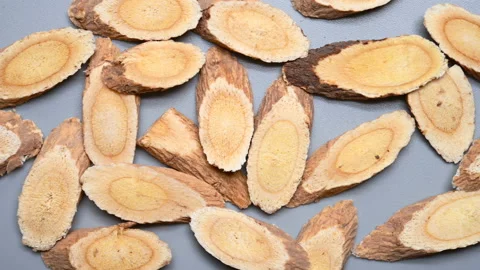 Top angle pan view herb HuangQi or Astragali Radix or Mongolian Milkvetch Roo Stock Footage 146184269