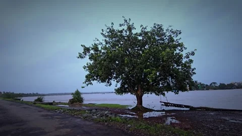 Top angle shot of boat in river. Muddy river water with boats aerial shot. Stock Footage 283924046