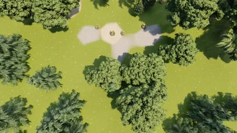 Top Angle shot of jungle in 3d	 Stock Footage 137331699