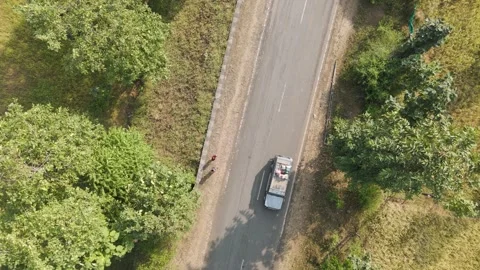 Top angle shot of road in forest and local public transport vehicle. Stock Footage 255137321