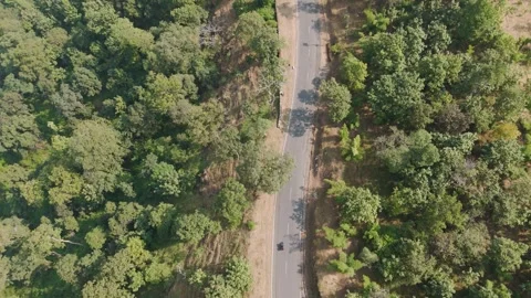 Top angle shot of road in forest and transport vehicle moving on it. Stock Footage 255365416