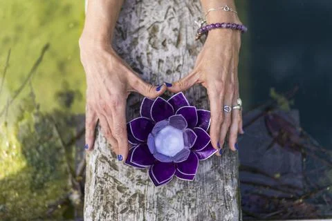 Top angle view of hands holding a purple glass lotus on a tree trunk over w.. Stock Photos