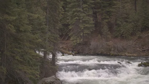 Top of Benham Falls Stock Footage 88850931