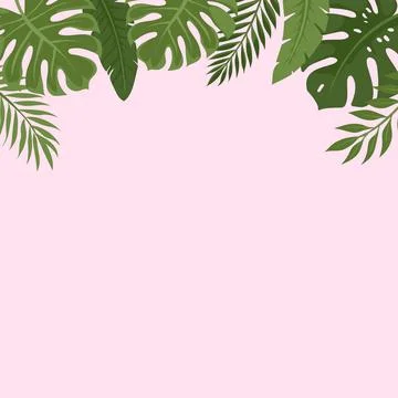 Top border frame made of green tropical leaves on pink background Stock Illustration
