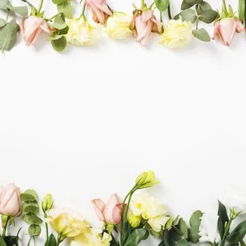 Top bottom border made with flowers white background Stock Photos