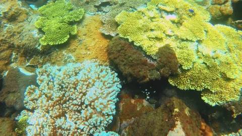 Top to bottom view of direct look to finger leather and green and brown table br Stock Footage 238500597