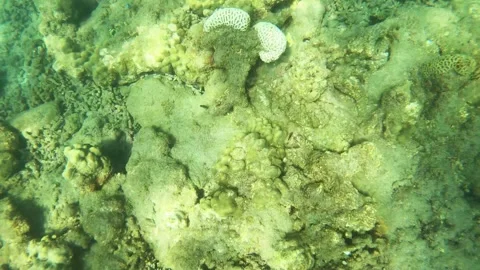 Top to bottom view of underwater grave yard of dead broken in pieces shredder co Stock Footage 240483847