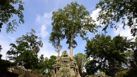 From top to bottom Wide angle view of Ta Prohm Temple Stock Footage 99681603