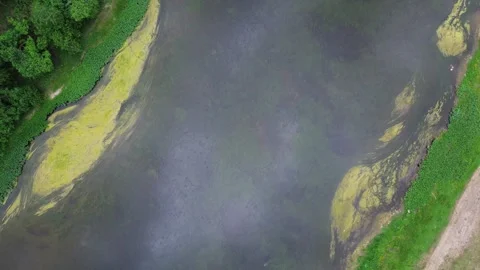 From top to bottom the wild river Stock Footage 246580936