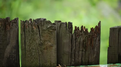 Top of Broken Fence in Rain Video stock 24762358