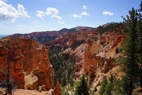 On top of bryce canyon Stock Photos