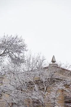 Top of building and trees covered with snow, winter city landscape Foto stock