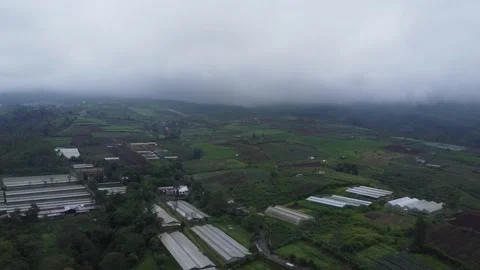 On top of the cangar plantation 스톡 동영상 227286730