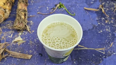 Top close-up shot of fresh sugarcane juice being served in a disposable pap.. Stock Footage 313380916