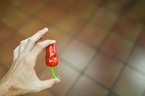 Top close up view of fresh small red pepper being hold by young man hand in kitc Foto stock