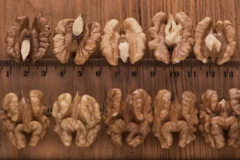 Top close up view of group of large dried ukranian russian peeled Walnut kern Stock Photos