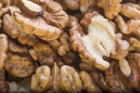 Top close up view of group of large dried ukranian russian peeled Walnut kern Stock Photos