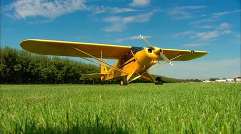 Top Cub 스톡 동영상 35843354