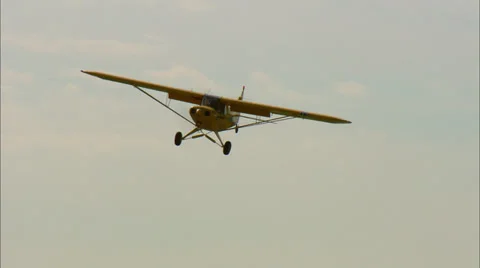 Top Cub Landing 스톡 동영상 35843409