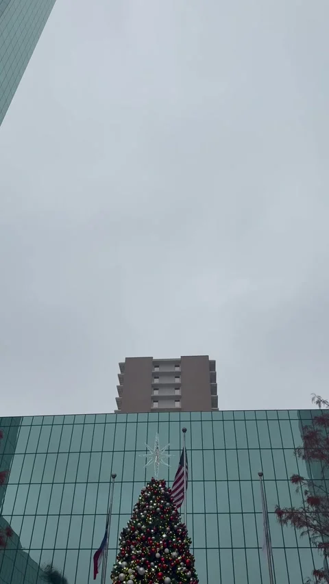 Top of Decorated Christmas Tree Against Glass Building Stock Footage 344593511