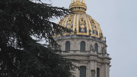 Top of dome of an old building by a tree branch in Paris. Stock Footage 269029972