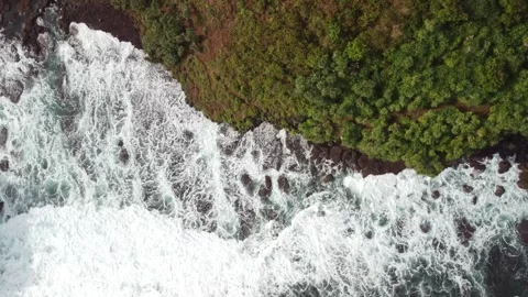 Top Down 4K Aerial Drone Footage of Waves Crashing on Tropical Coastline Stock Footage 315235403