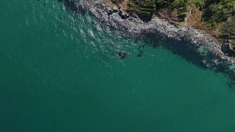 Top-Down 4K Aerial View of Clear Turquoise Ocean Waves Crashing on Rocky Stock Footage 341531124