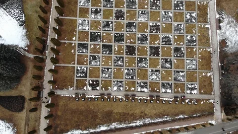 Top down abstract garden view, Aerial landscape of public garden Stock Footage 124576583