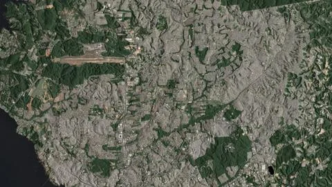 Top-down aerial 3D illustration of Manaus, Brazil Stock Illustration