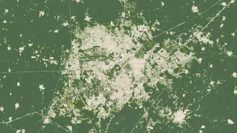 Top-down aerial 3D illustration of Patiala, India Stock Illustration