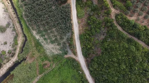 Top Down Aerial 4K Drone View of Dirt Road, Forest and Stream Lines 库存影片 341528821