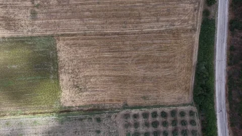 Top Down Aerial 4K Drone View of Farmland Plots and Asphalt Road 库存影片 341529291