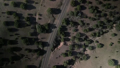 Top down aerial above two lane highway in Gila National Forest in New Mexico Stock-Footage 332261478