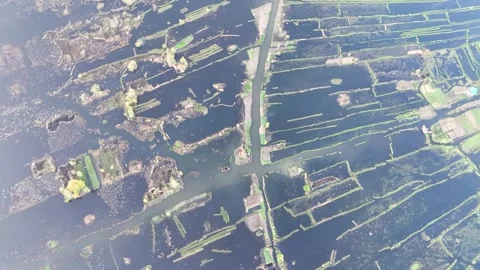 Top-down aerial of abstract floating gardens on Dal Lake, Srinagar. 库存影片 333792283