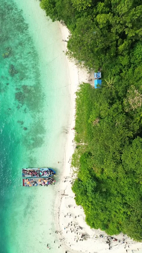 Top Down Aerial Along Jungle Island Beach With Tour Boat Stock Footage 337128366