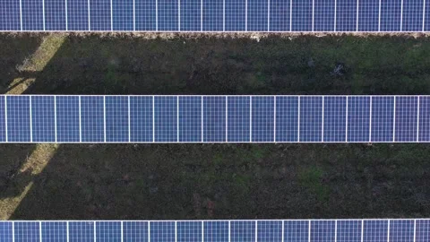 Top down aerial ascent over solar panel rows Stock Footage 327812302