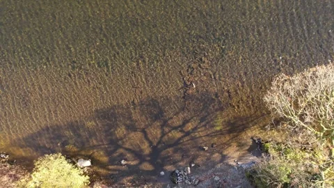 Top down aerial: Coniston Water lakebed and shore in the Lake Disrict, England Stock Footage 336507225
