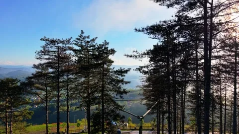 Top-Down Aerial Descent from Trees to a Forest Walking Path Stock Footage 334246315