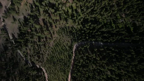 Top down aerial of dirt roads in Bitterroot Mountain range in Montana Stock Footage 311960070