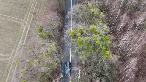 Top Down Aerial Dolly Shot of Car Driving Opposite Direction on Rural Road Stock Footage 323723103
