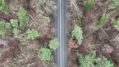 Top Down Aerial Dolly Shot of Multiple Cars on Country Road in Winter Stock Footage 323875138