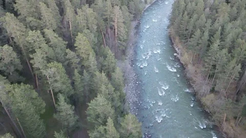 Top-down aerial drone flight over mountain river and coniferous forest Stock Footage 337534273