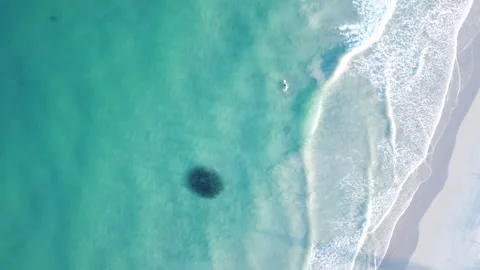  top down aerial drone footage of ball of fish in ocean Stock-Footage 302575337