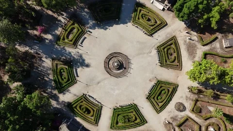 Top-down aerial drone footage of botanical garden in palermo Stock Footage 345203716