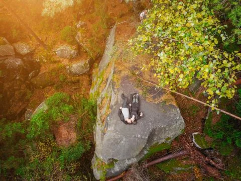 Top down aerial drone image of a forest. Stock Photos